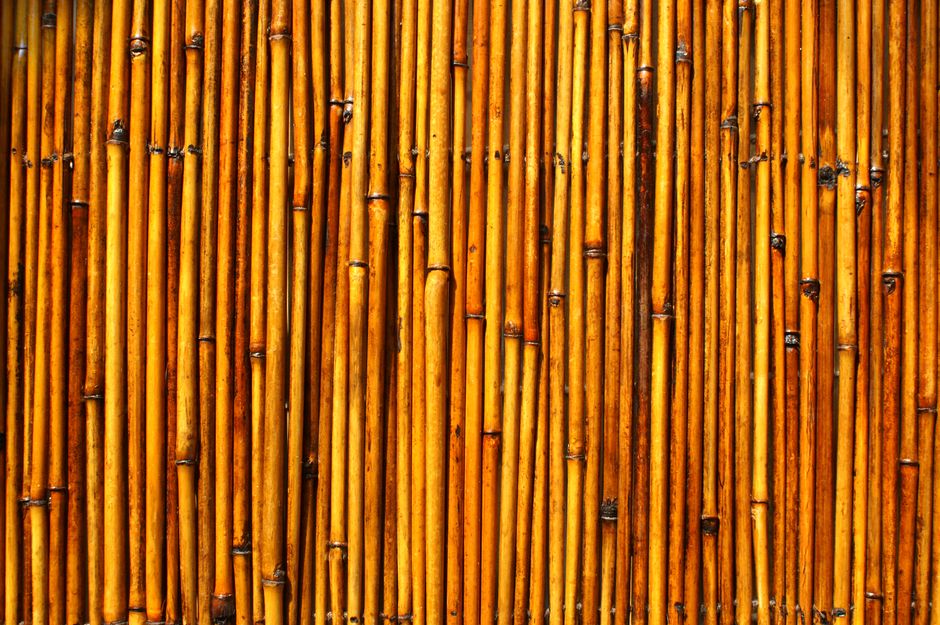 Carrelage à Bambous